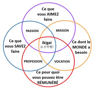 Ikigai_FR