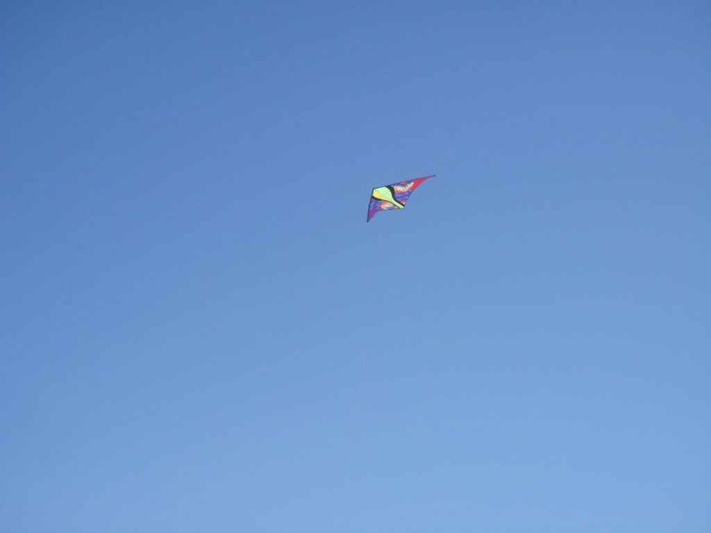 Kite